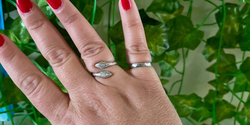 Right hand with iron right on the pinkie finger, painted red nails, a thumbring, and several blue and metal bracelets on the right wrist. The background is green leaves.